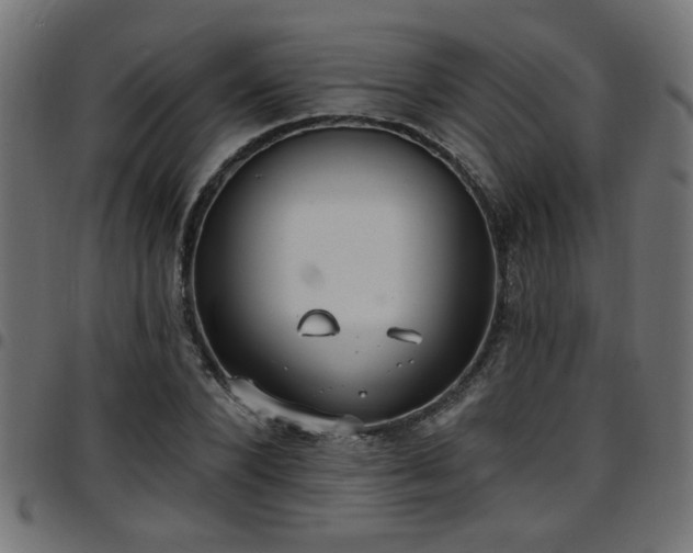 X0000097590880200803071318