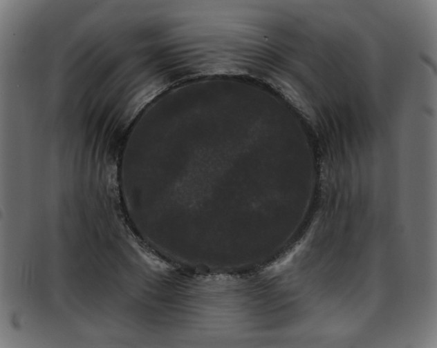 X0000097590881200803071318