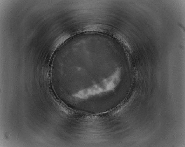 X0000097590882200803071318