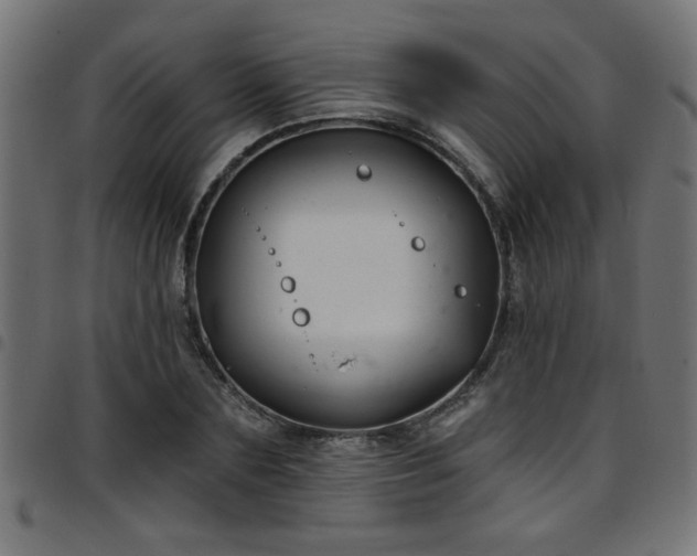 X0000097590883200803071318