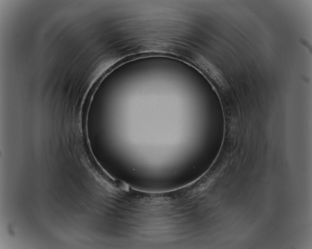 X0000097590884200803071318