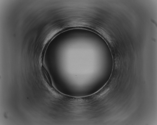 X0000097590885200803071318