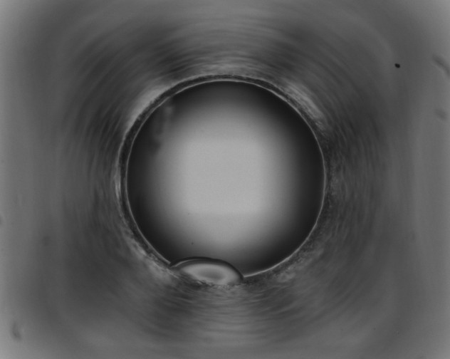 X0000097590888200803071318