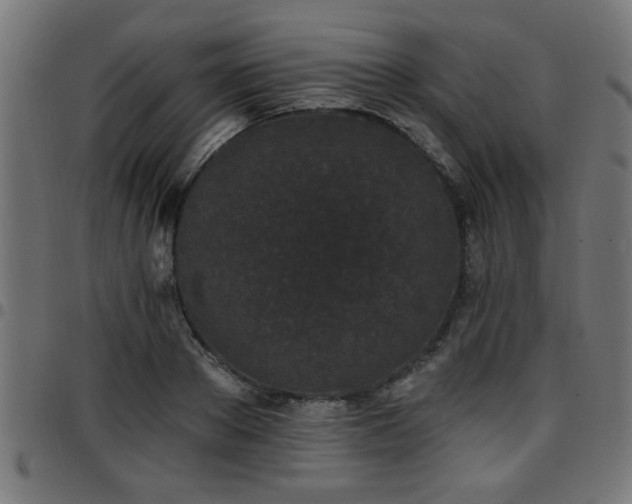 X0000097590889200803071318