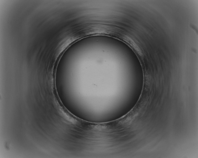 X0000097590890200803071318