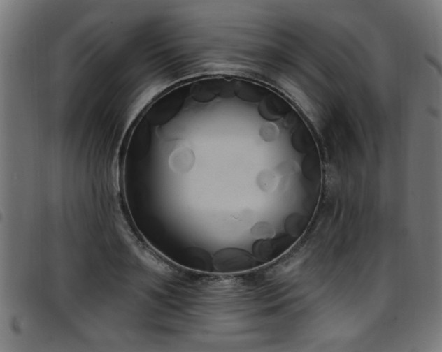 X0000097590891200803071318