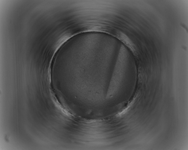 X0000097590892200803071318