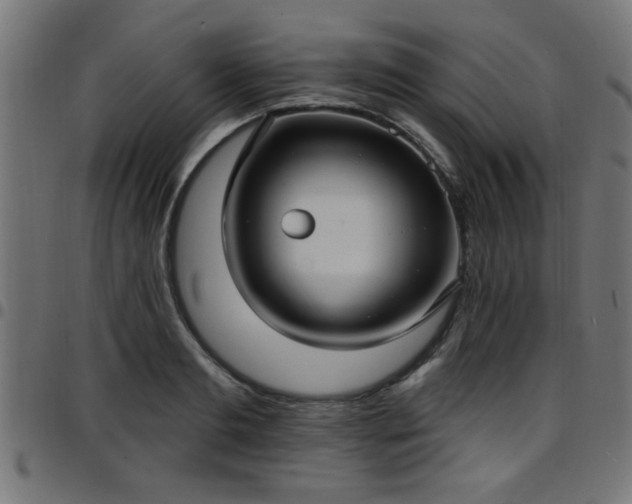 X0000097590893200803071318