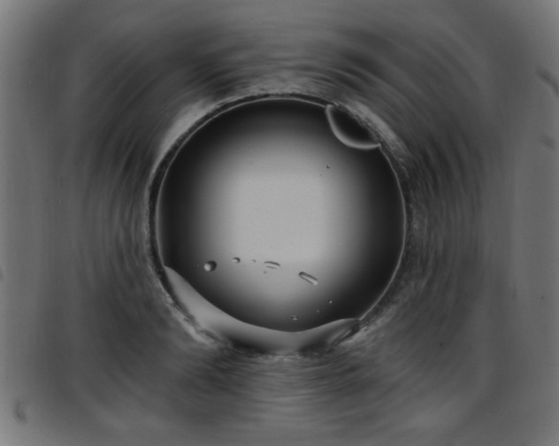 X0000097590894200803071318