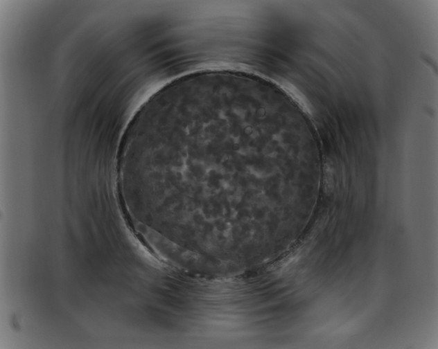 X0000097590895200803071318