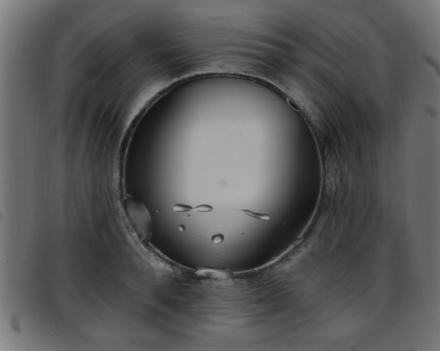 X0000097590896200803071318