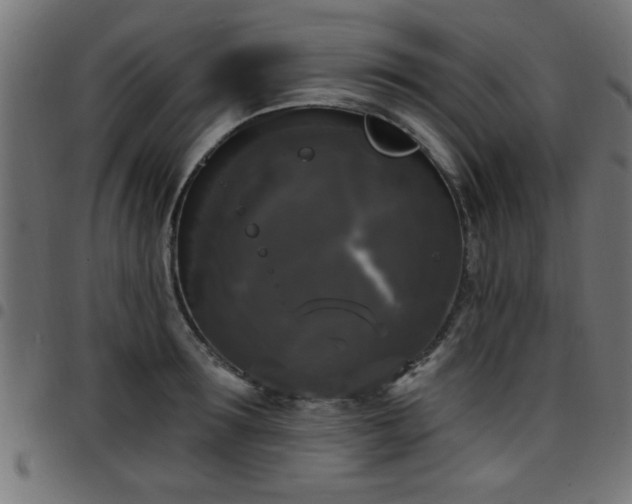 X0000097590899200803071318