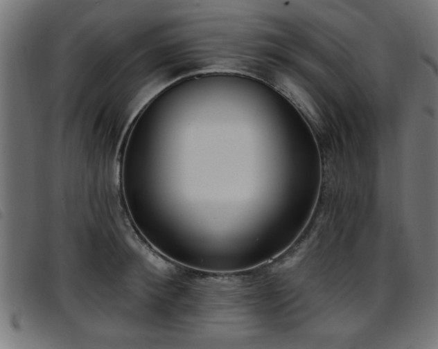 X0000097590900200803071318