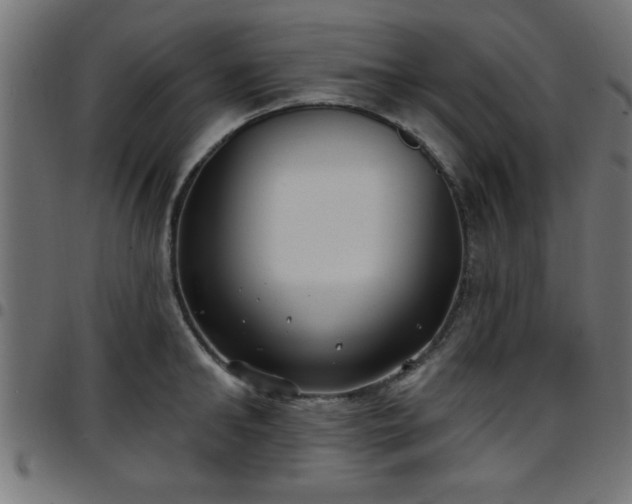 X0000097590902200803071318