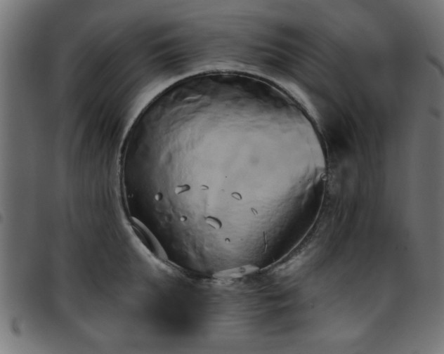 X0000097590903200803071318