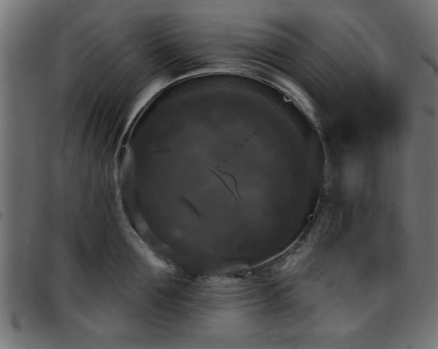 X0000097590907200803071318