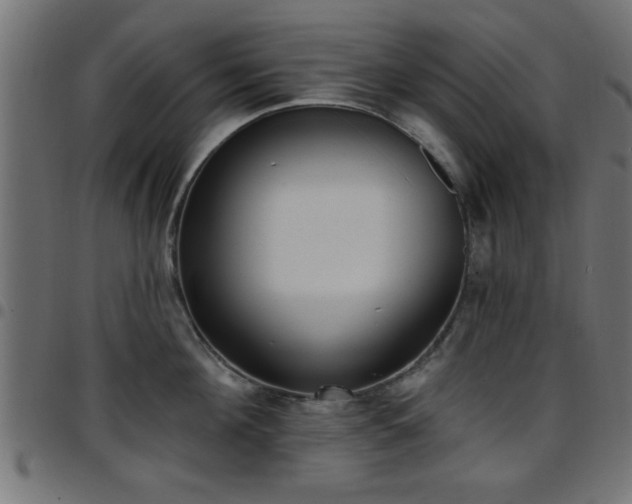 X0000097590908200803071318