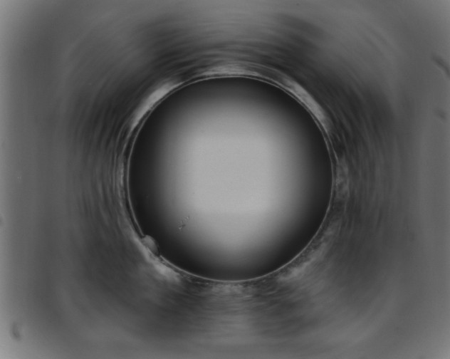 X0000097590909200803071318