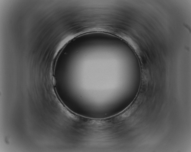 X0000097590910200803071318