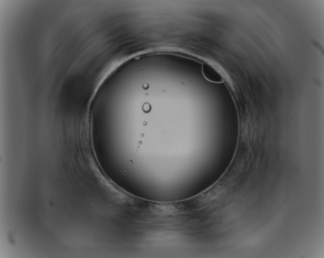 X0000097590911200803071318