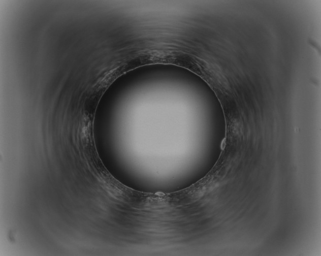 X0000097590914200803071317