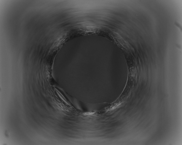 X0000097590916200803071317