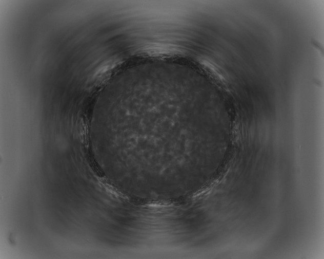 X0000097590917200803071317