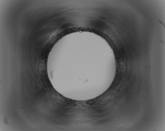 X0000097590918200803071317