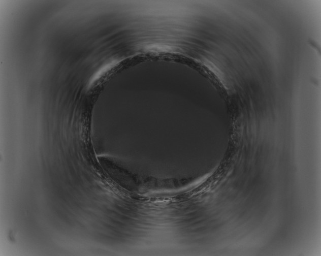 X0000097590919200803071317