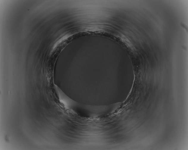 X0000097590920200803071317