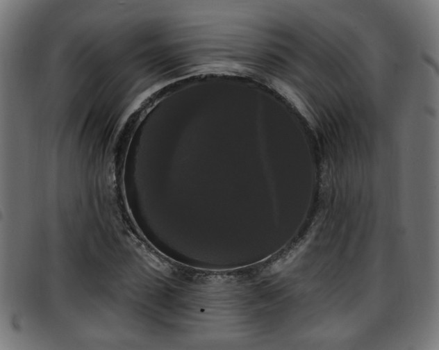 X0000097590923200803071317