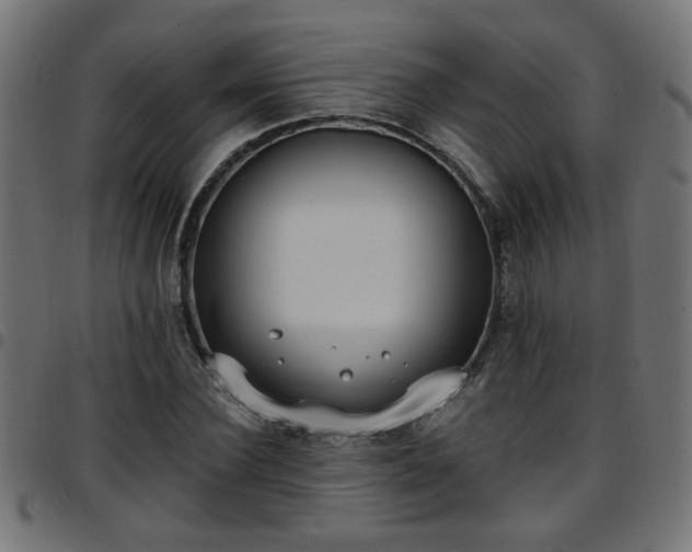 X0000097590924200803071317