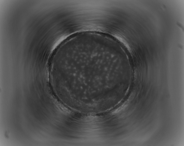 X0000097590925200803071317