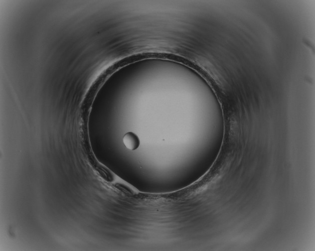 X0000097590926200803071317