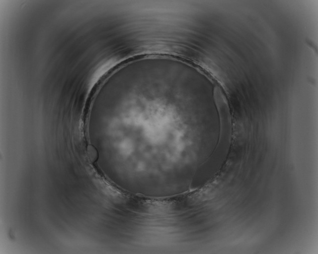 X0000097590928200803071317