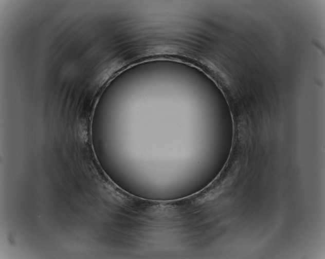 X0000097590929200803071317