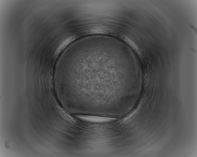 X0000097590930200803071317