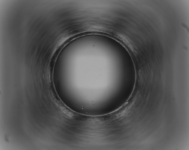 X0000097590931200803071317