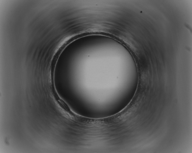 X0000097590934200803071317