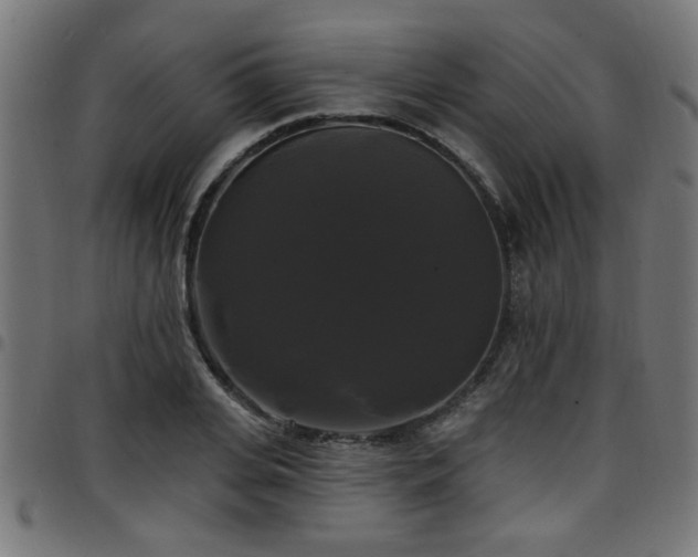 X0000097590935200803071317