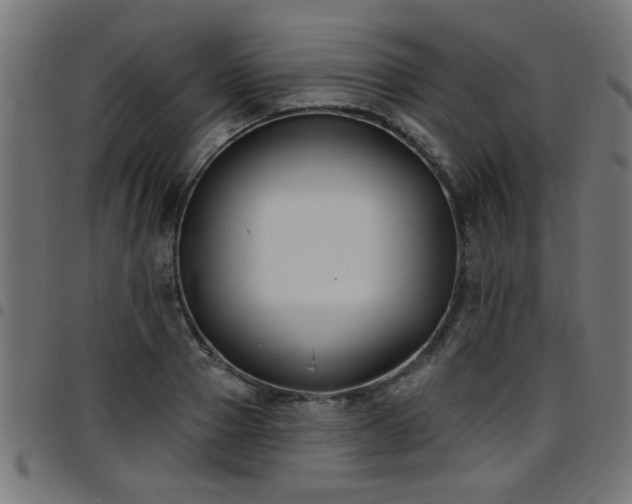 X0000097590937200803071317