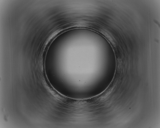 X0000097590939200803071317