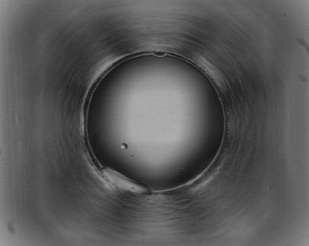 X0000097590940200803071317