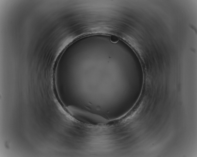 X0000097590941200803071317