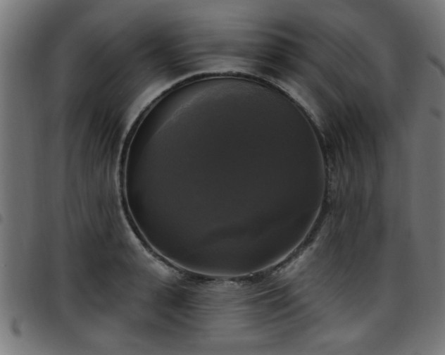 X0000097590943200803071317