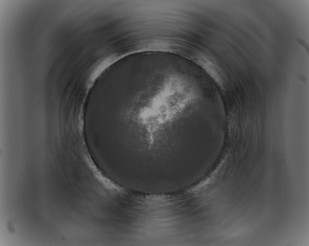 X0000097590944200803071317