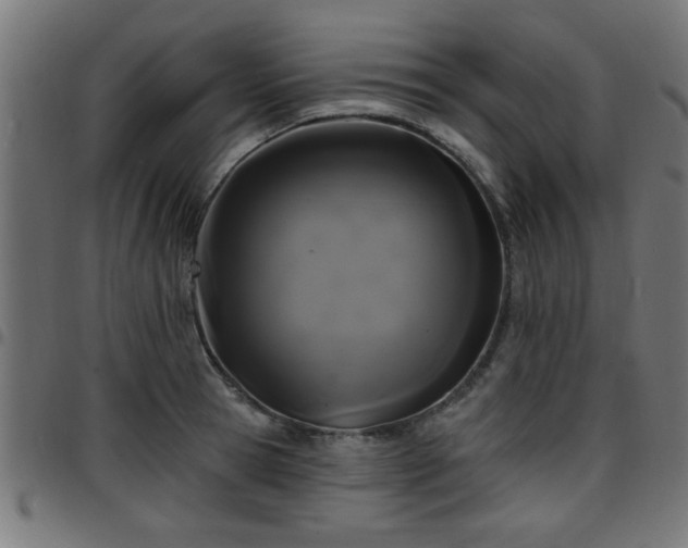 X0000097590945200803071317