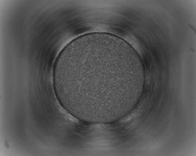 X0000097590950200803071317