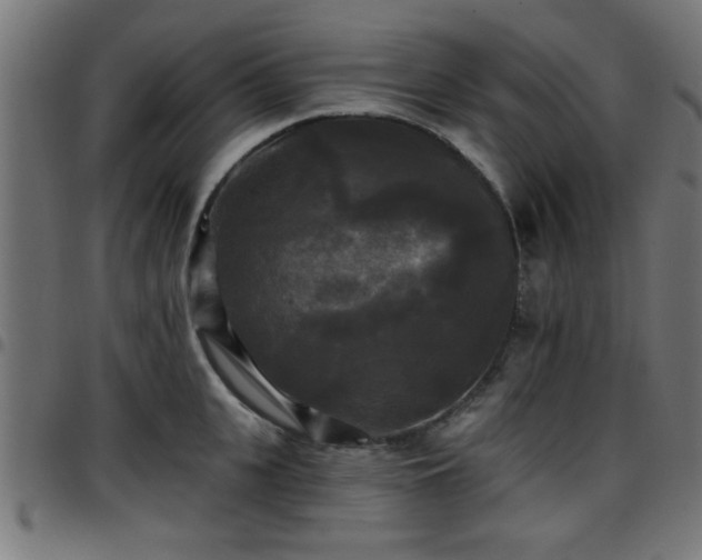 X0000097590951200803071318