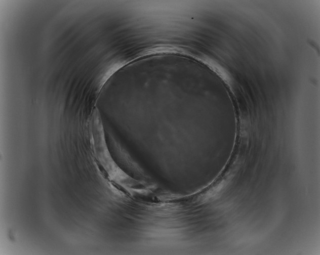 X0000097590953200803071318